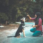 UPSSSC PET registration
