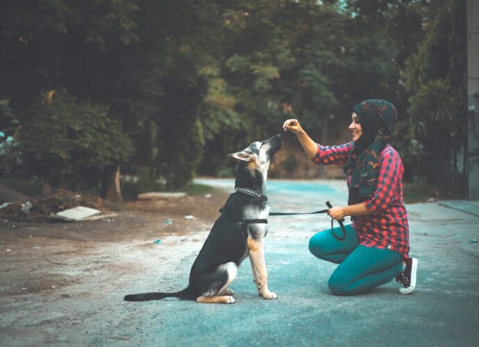 UPSSSC PET registration