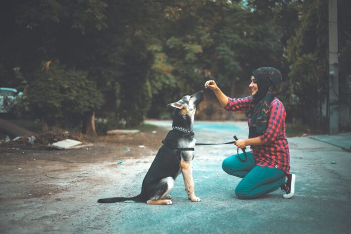 UPSSSC PET registration