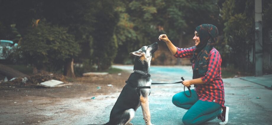 UPSSSC PET registration