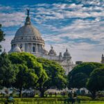 Calcutta University counselling