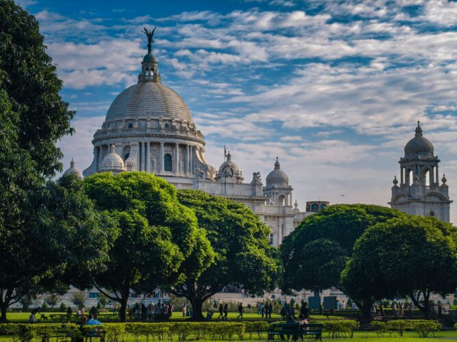 Calcutta University counselling
