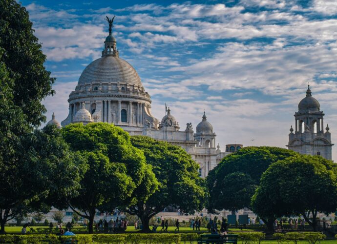 Calcutta University counselling