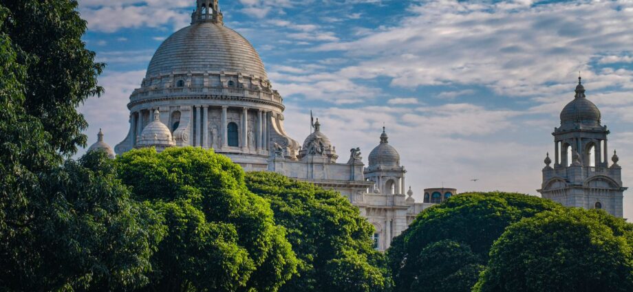 Calcutta University counselling