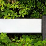 A blank sign obscured by lush green foliage