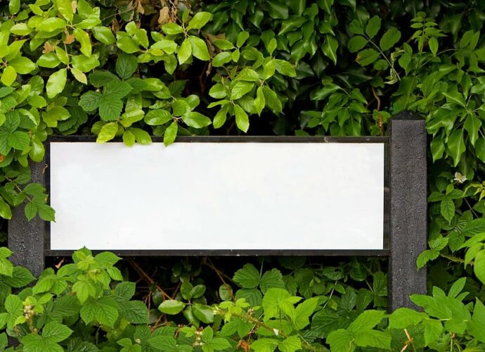 A blank sign obscured by lush green foliage
