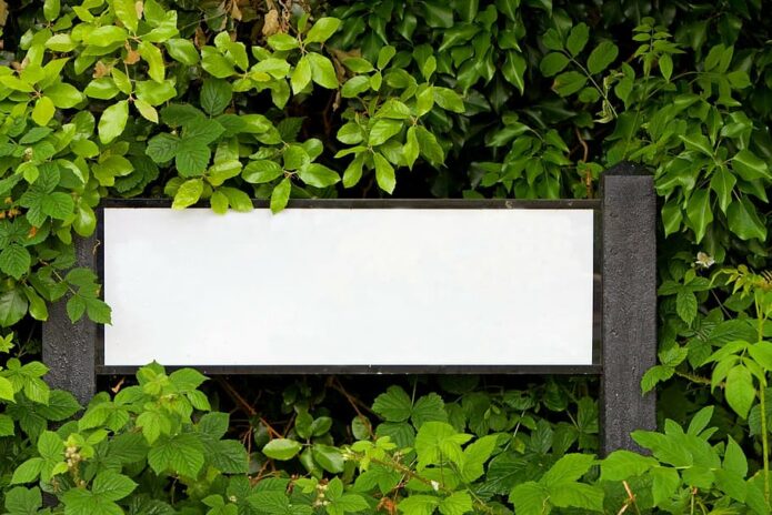 A blank sign obscured by lush green foliage